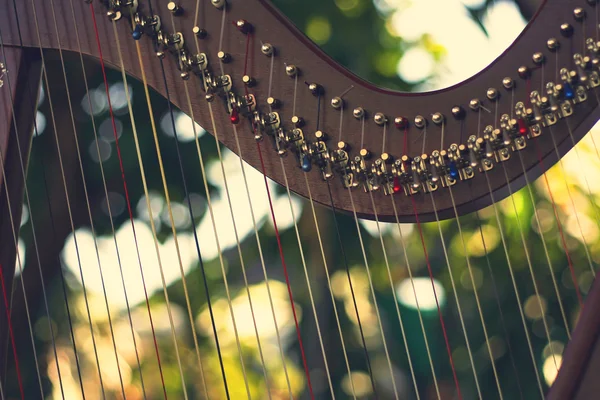 Close up of harp with nature background