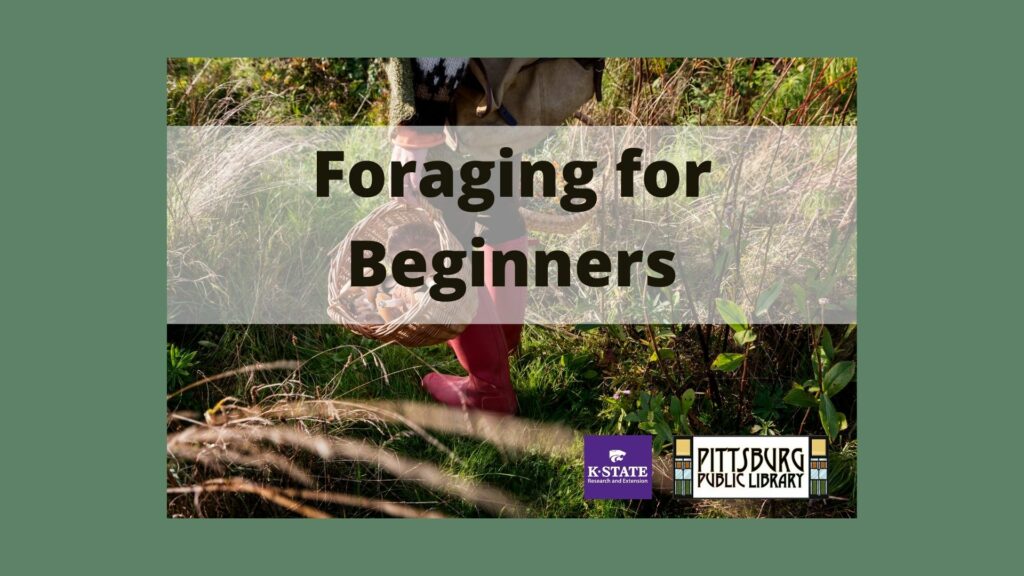 Foraging for Beginners Program