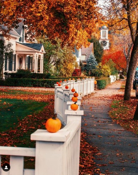 Fall photo of a quiet neighborhood with pumpkins (Photo credit: Kiel James Patrick)