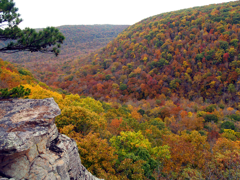 Photograph of the Ozark mountains in the fall