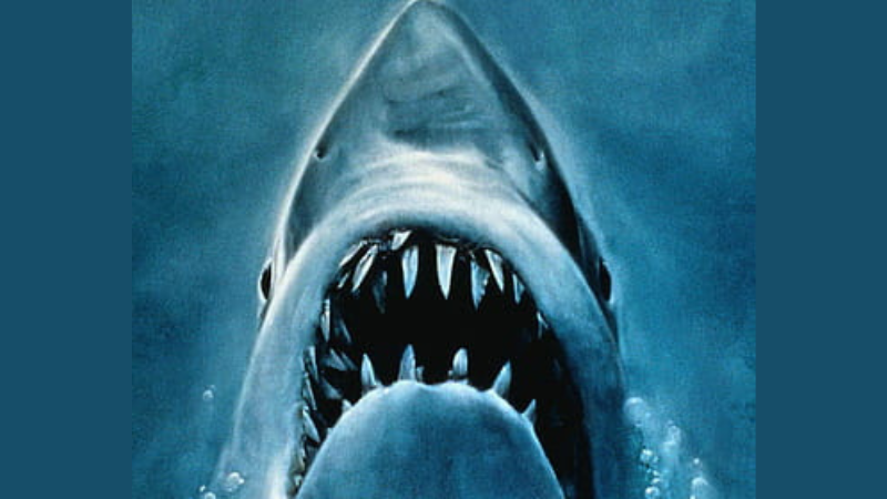 Photo of a great white shark from the "Jaws" original movie poster