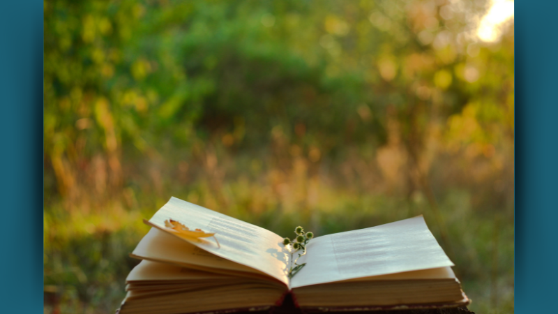 Stylized photo of an open book, presumably poetry, in a yellow and green meadow.