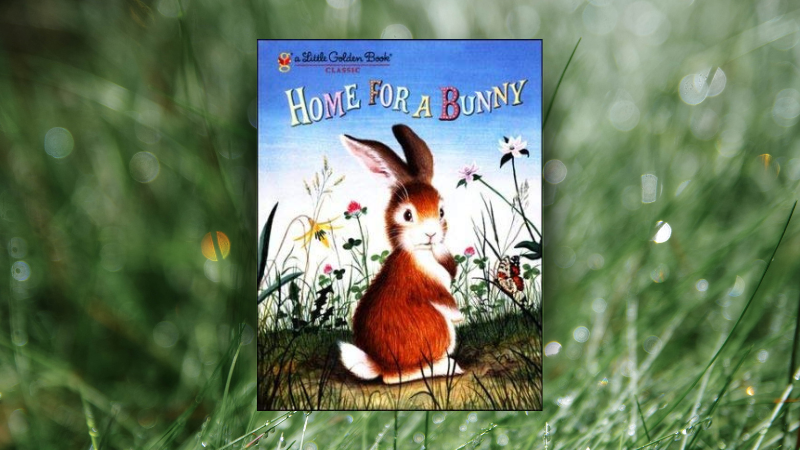 “A Home for a Bunny,” written by Margaret Wise Brown and illustrated by Garth Williams.