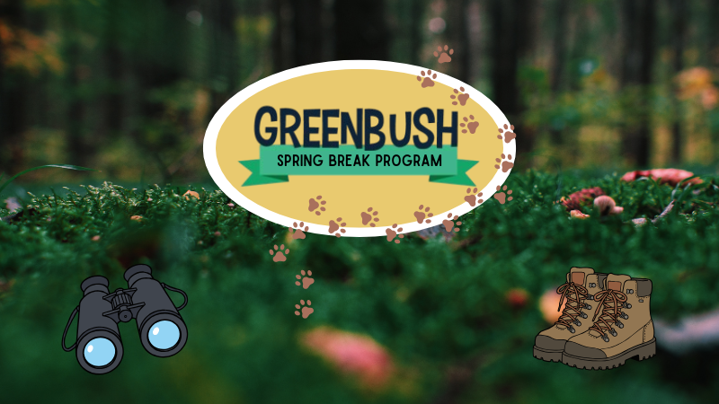 Walk with the Wild Program for Kids